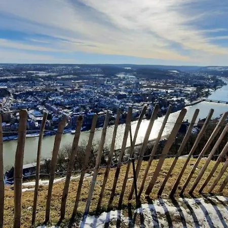 Ботель D'hotes Sur La Meuse A Bord De La Peniche Formigny *