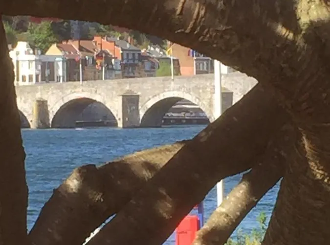 D'hotes Sur La Meuse A Bord De La Peniche Formigny * Namur