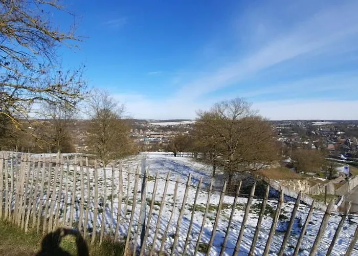 D'hotes Sur La Meuse A Bord De La Peniche Formigny Botel Namur
