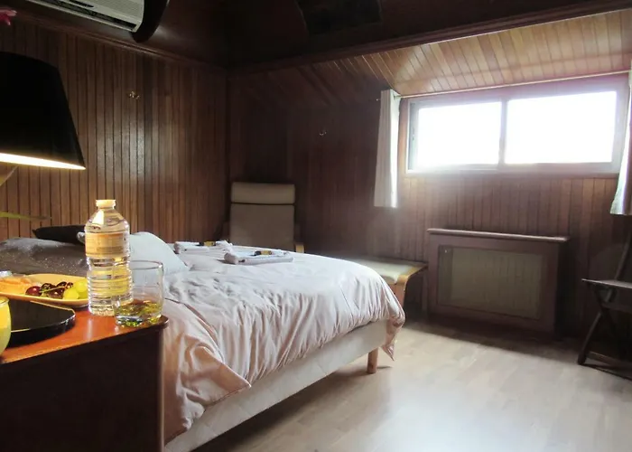 D'hotes Sur La Meuse A Bord De La Peniche Formigny Botel Namur